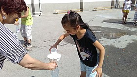 IMG_20170613_101029.jpg