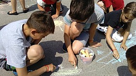 IMG_20170613_102522.jpg