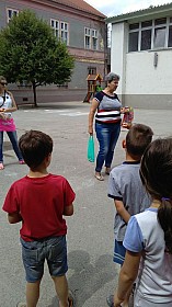 IMG_20170613_111046.jpg