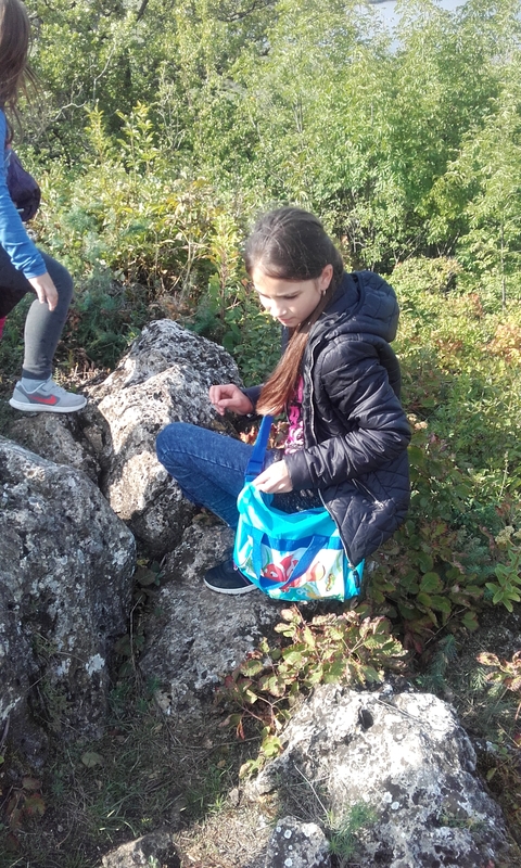 20170925_145209.jpg