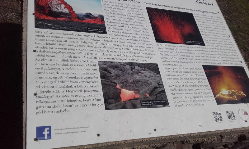 20170926_135609.jpg