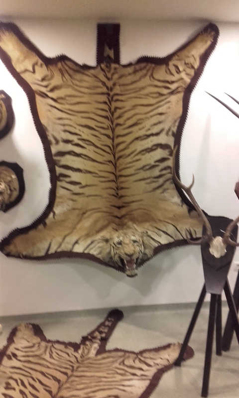 20170927_102315.jpg