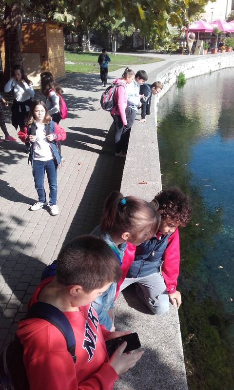 20170928_102930.jpg