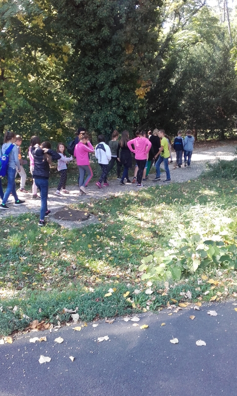 20170929_123652.jpg