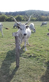 20170925_143506.jpg