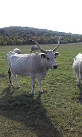 20170925_143512.jpg