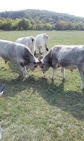 20170925_143619.jpg