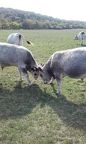 20170925_143630.jpg