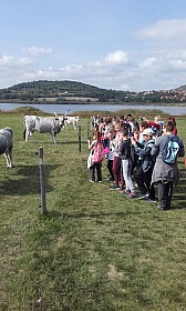 20170925_143704.jpg