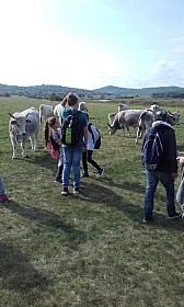 20170925_143733.jpg