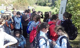 20170926_132117.jpg