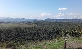 20170926_132900.jpg