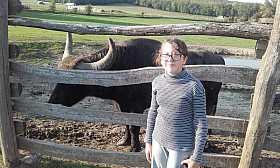 20170926_164909.jpg