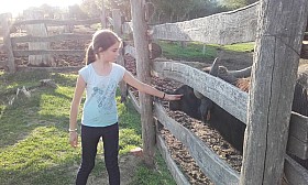20170926_164925.jpg