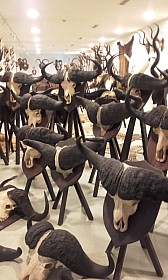 20170927_102058.jpg