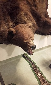 20170927_102131.jpg
