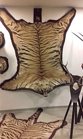 20170927_102315.jpg