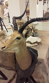 20170927_102424.jpg