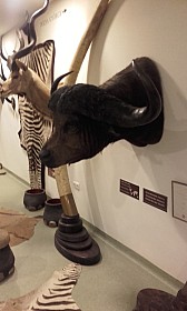 20170927_102739.jpg