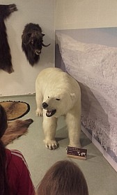 20170927_103246.jpg