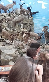 20170927_103557.jpg