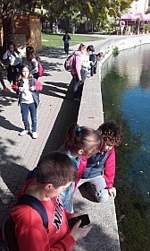 20170928_102930.jpg