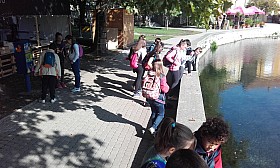 20170928_102937.jpg