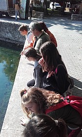 20170928_102946.jpg