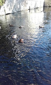 20170928_104040.jpg