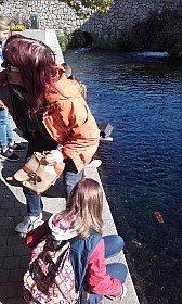 20170928_104046.jpg