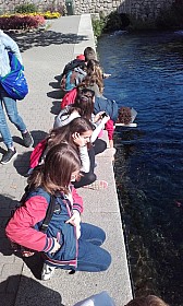 20170928_104100.jpg