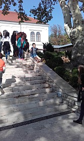 20170929_124919.jpg