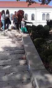 20170929_125009.jpg