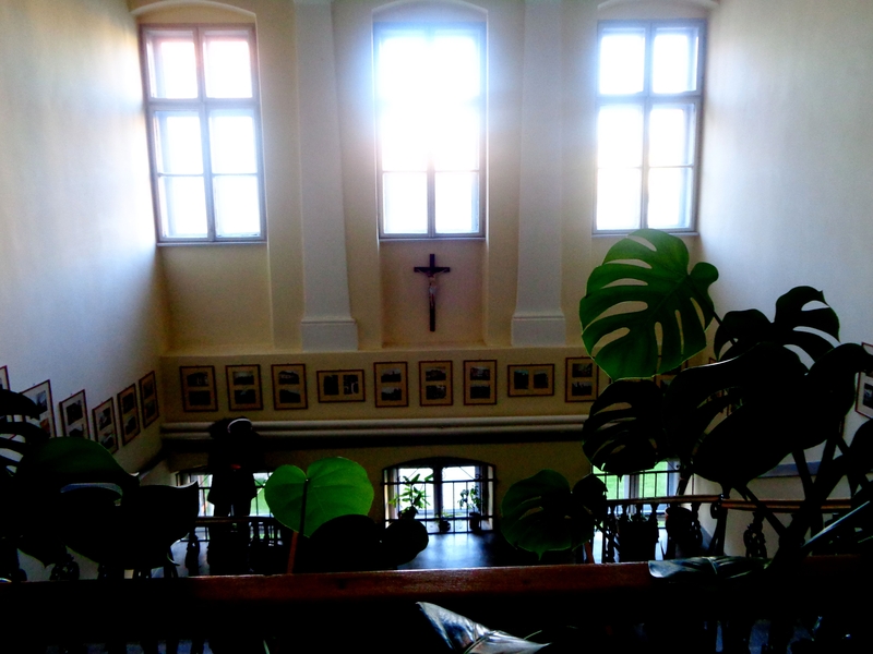 DSC00578.JPG