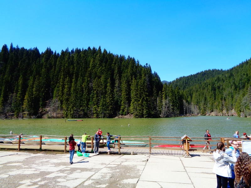 DSC00890.JPG