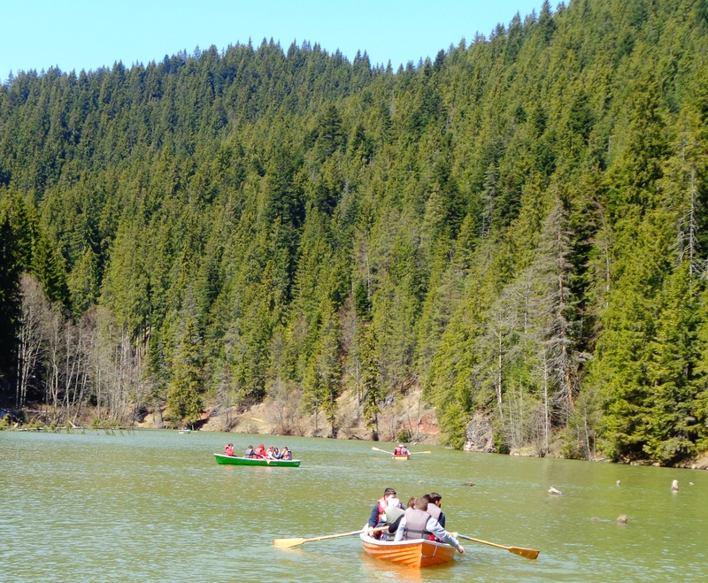 DSC00908.JPG