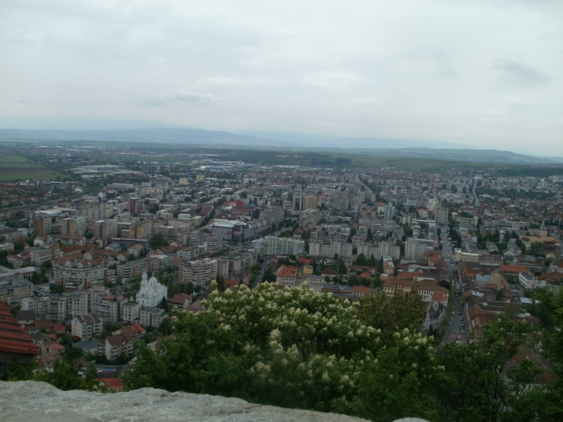 P5300011.JPG