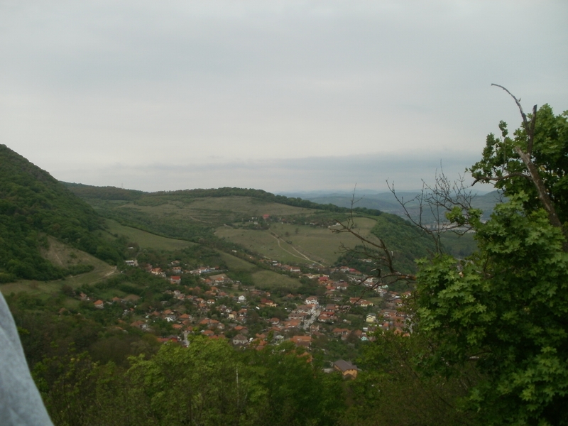 P5300017.JPG