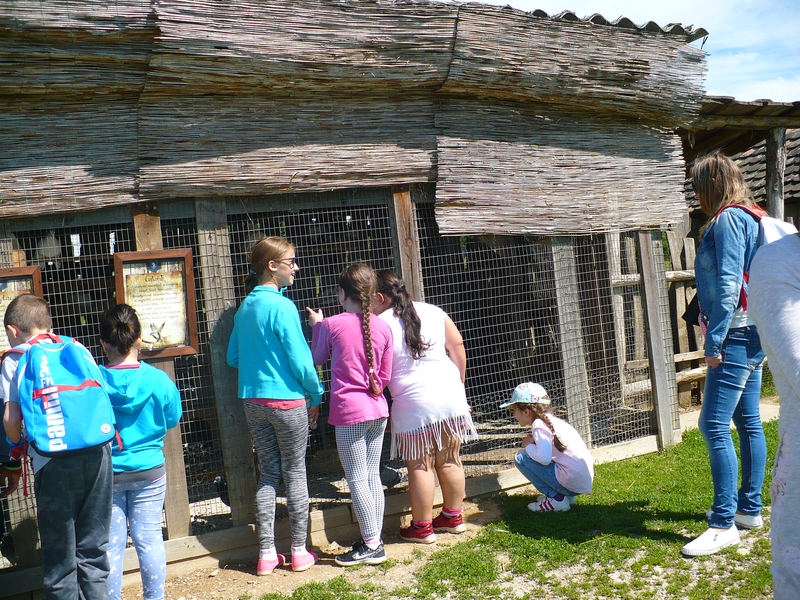 P1080326.JPG