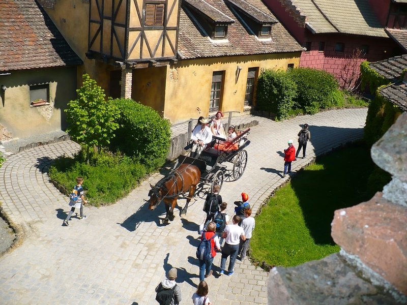 P1080331.JPG