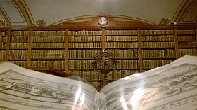 WP_20170520_09_33_27_Pro.jpg