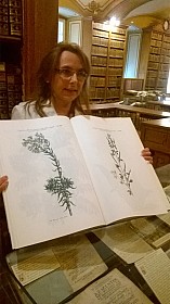 WP_20170520_09_42_18_Pro.jpg