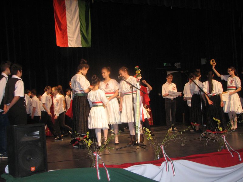 IMG_0008.JPG