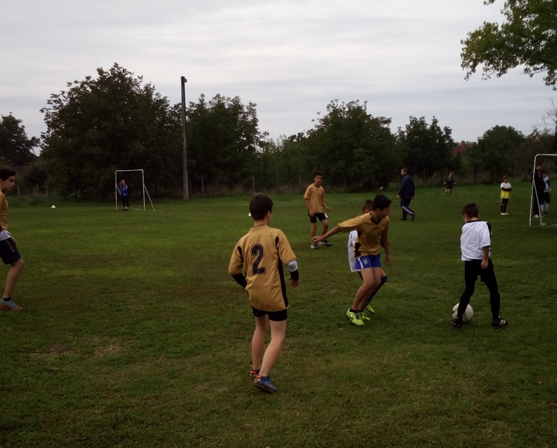 IMG_20170919_102955.jpg