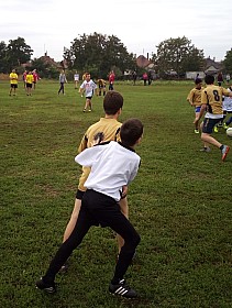 IMG_20170919_102953.jpg