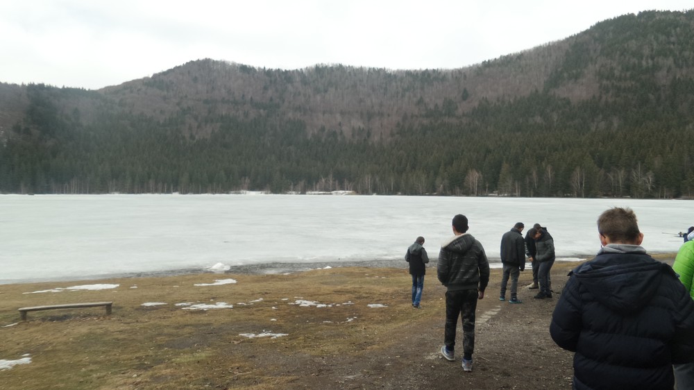 20180405_103932.jpg