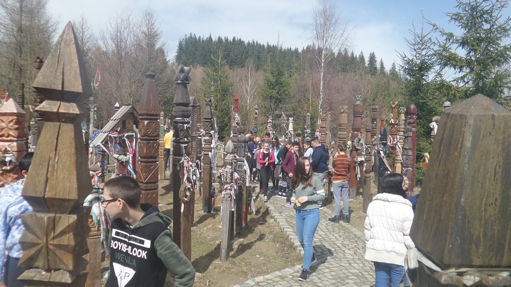 20180405_143102.jpg