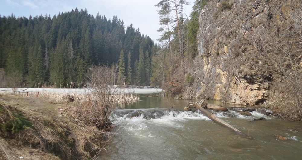 20180406_112944.jpg