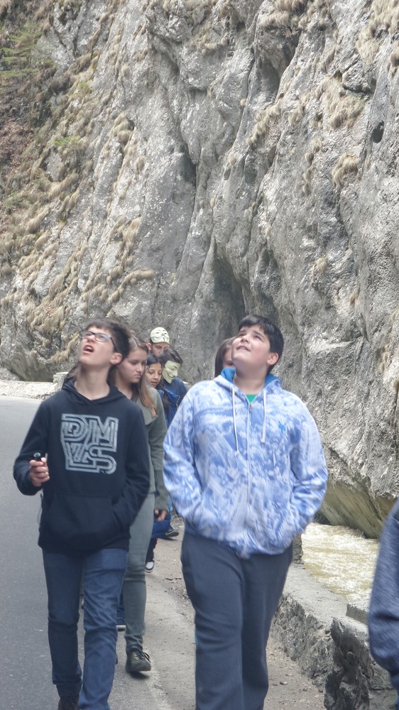 20180406_120904.jpg