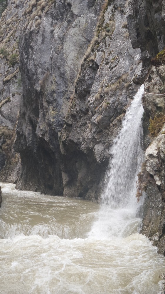 20180406_121321.jpg
